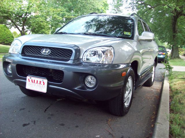 Hyundai Santa Fe 2003 photo 2