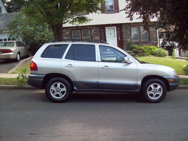 Hyundai Santa Fe 2003 photo 3