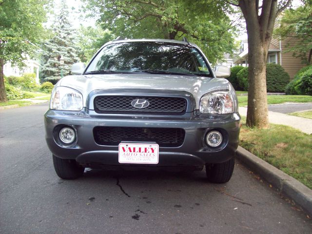 Hyundai Santa Fe 2003 photo 4