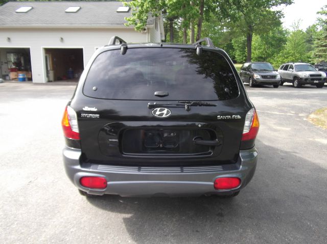 Hyundai Santa Fe 2003 photo 10