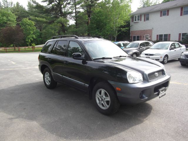 Hyundai Santa Fe 2003 photo 11