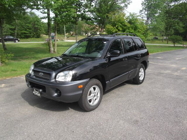 Hyundai Santa Fe 2003 photo 12