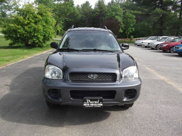 Hyundai Santa Fe 2003 photo 4