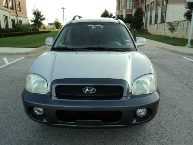 Hyundai Santa Fe 2003 photo 1