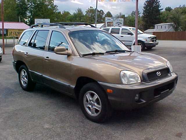 Hyundai Santa Fe 2003 photo 4