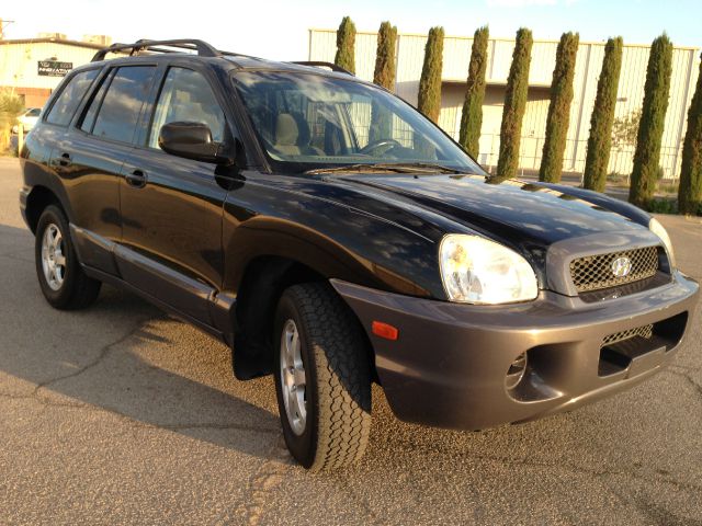 Hyundai Santa Fe 2003 photo 1