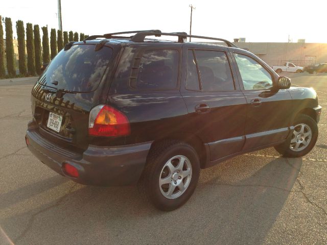 Hyundai Santa Fe 2003 photo 2