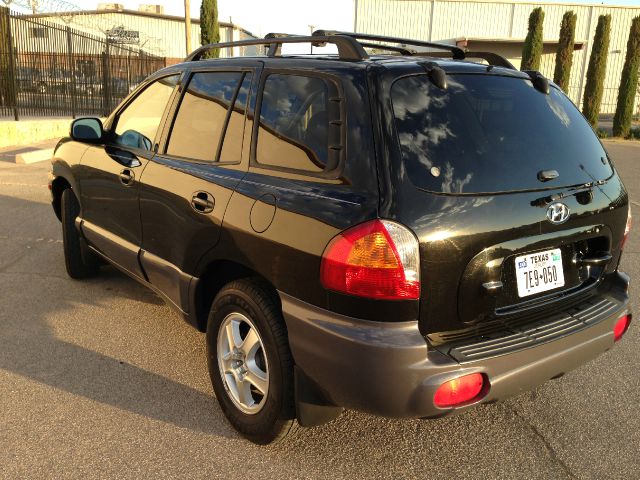 Hyundai Santa Fe 2003 photo 3