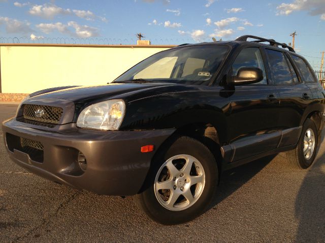 Hyundai Santa Fe 2003 photo 4