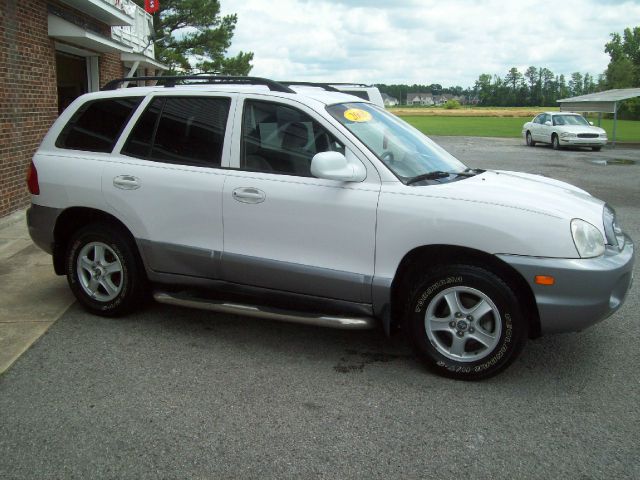 Hyundai Santa Fe 2003 photo 1