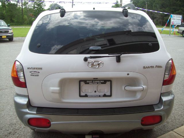 Hyundai Santa Fe 2003 photo 2