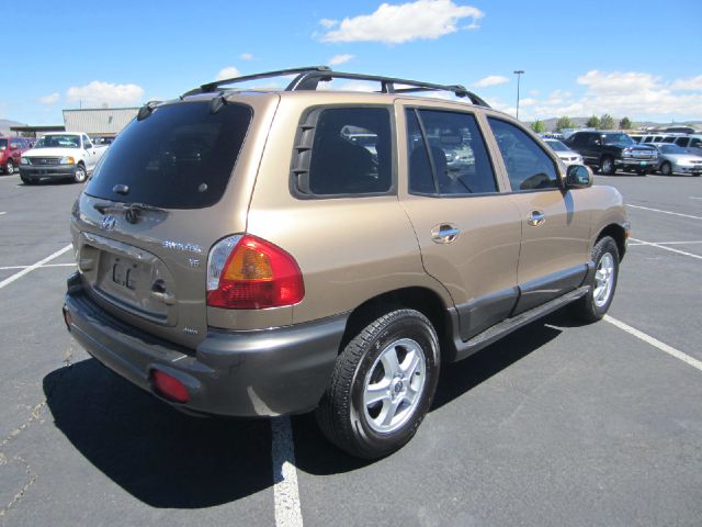 Hyundai Santa Fe 2003 photo 1