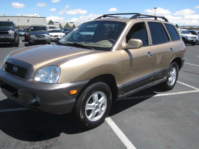 Hyundai Santa Fe 2003 photo 3