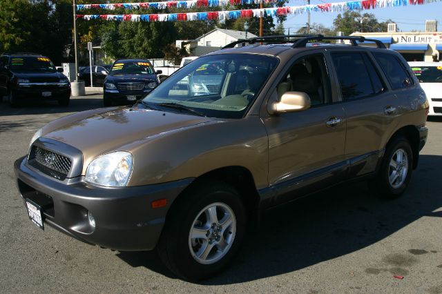 Hyundai Santa Fe 2003 photo 1