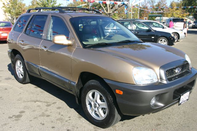 Hyundai Santa Fe 2003 photo 2