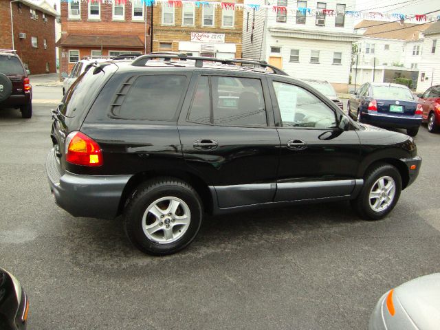 Hyundai Santa Fe 2004 photo 1