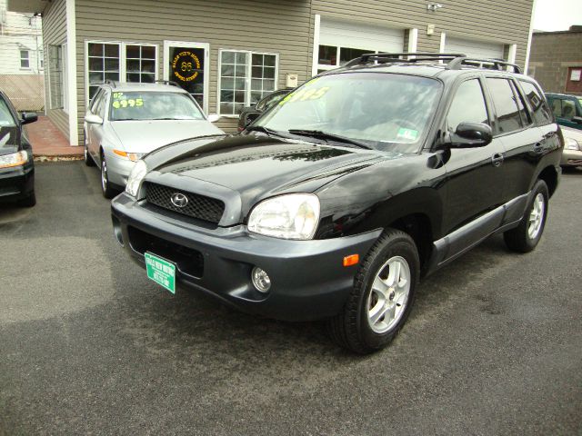 Hyundai Santa Fe 2004 photo 3