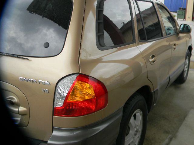 Hyundai Santa Fe 2004 photo 4