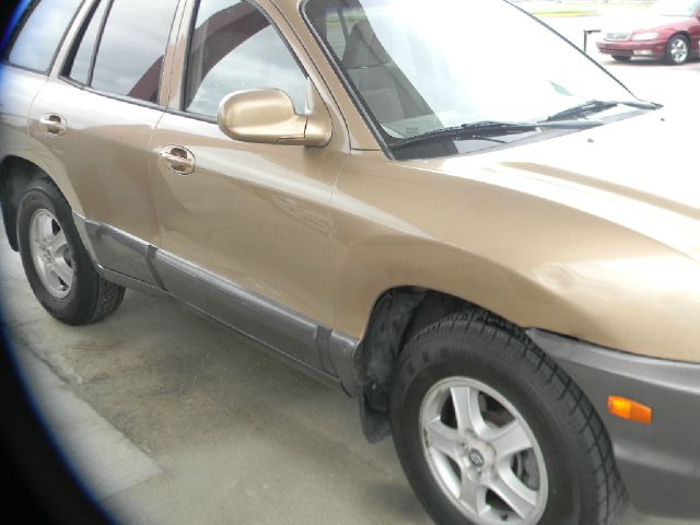 Hyundai Santa Fe 2004 photo 5