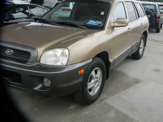 Hyundai Santa Fe 2004 photo 6