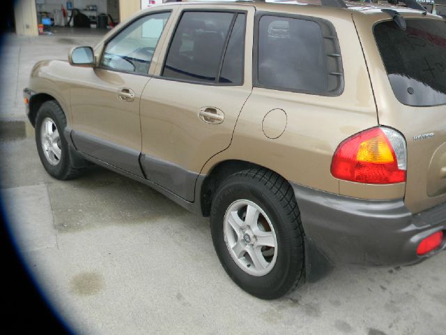 Hyundai Santa Fe 2004 photo 7