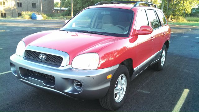 Hyundai Santa Fe 2004 photo 2