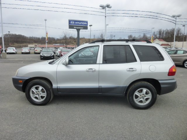 Hyundai Santa Fe 2004 photo 5