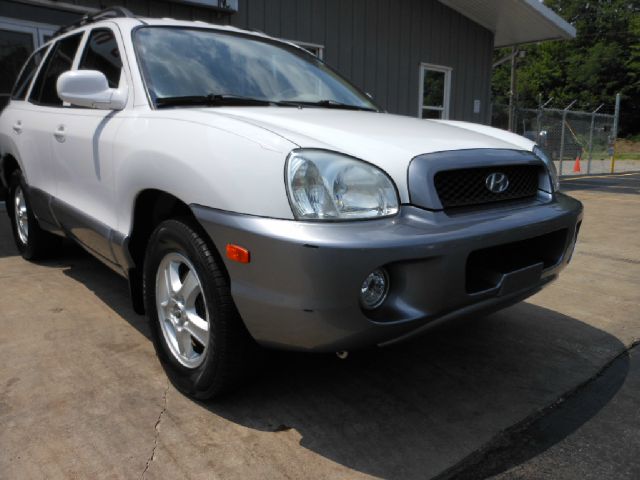 Hyundai Santa Fe 2004 photo 2