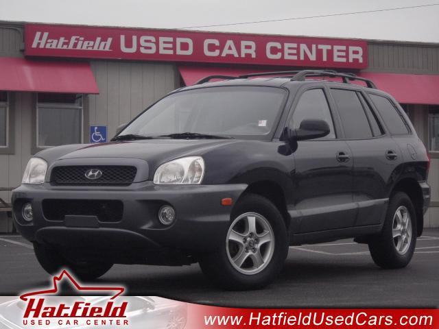 Hyundai Santa Fe 2004 photo 10