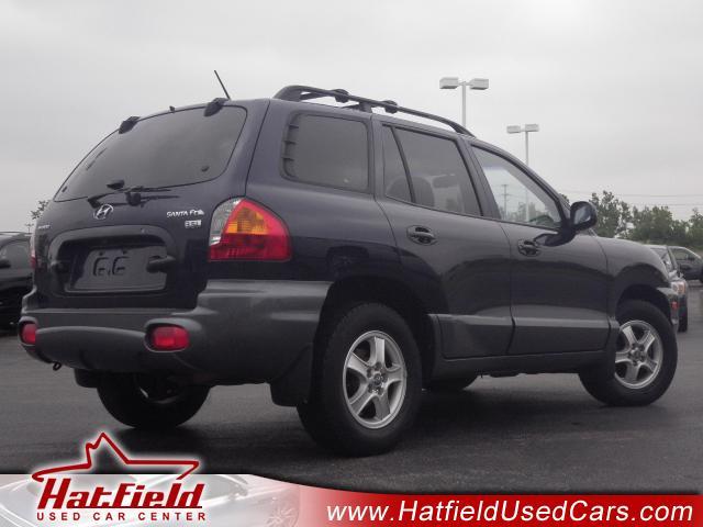 Hyundai Santa Fe 2004 photo 5