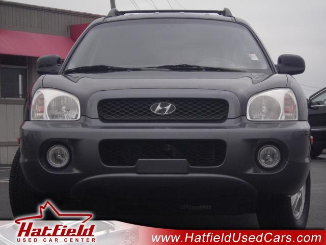 Hyundai Santa Fe 2004 photo 9