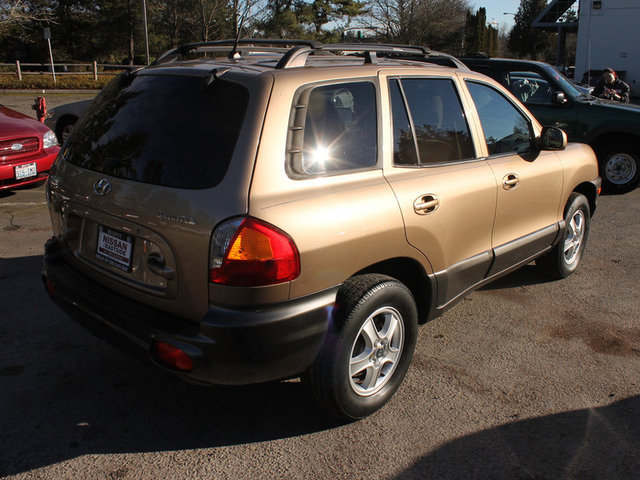 Hyundai Santa Fe 2004 photo 1