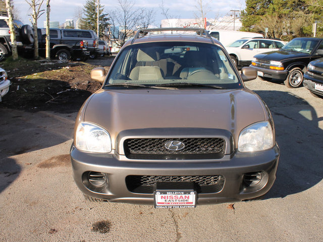 Hyundai Santa Fe 2004 photo 2