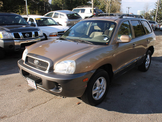 Hyundai Santa Fe 2004 photo 4