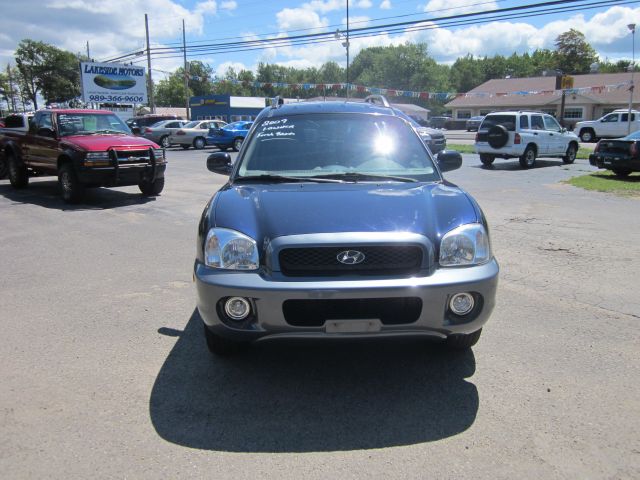 Hyundai Santa Fe 2004 photo 1