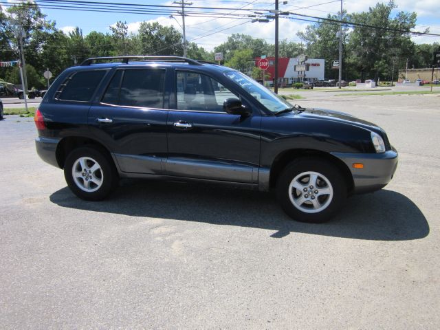 Hyundai Santa Fe 2004 photo 3