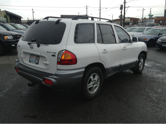 Hyundai Santa Fe 2004 photo 2