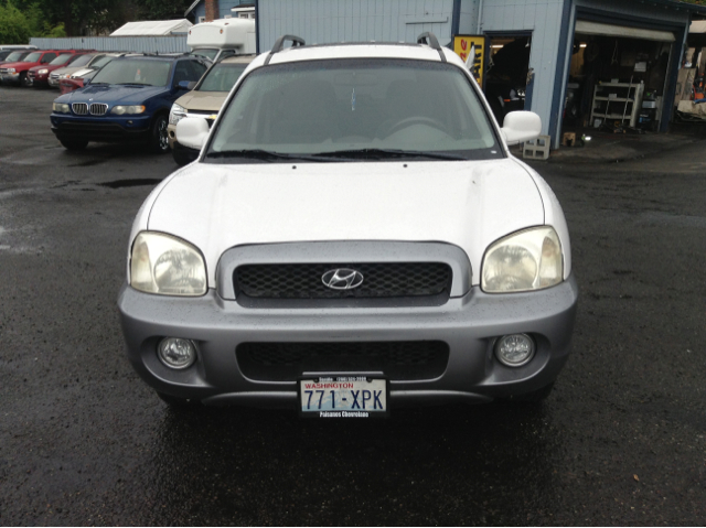 Hyundai Santa Fe 2004 photo 3