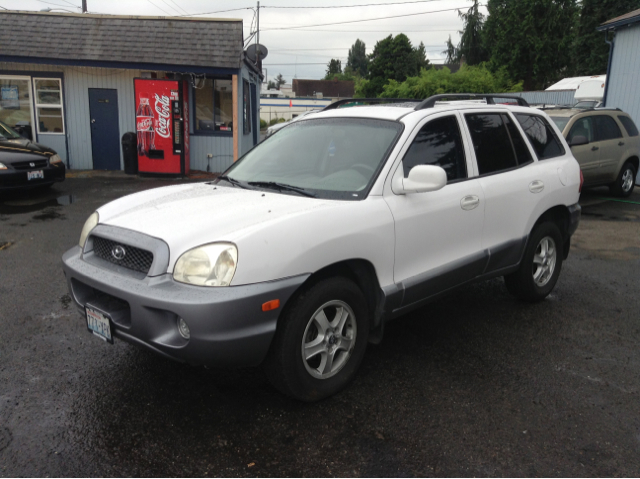 Hyundai Santa Fe 2004 photo 4