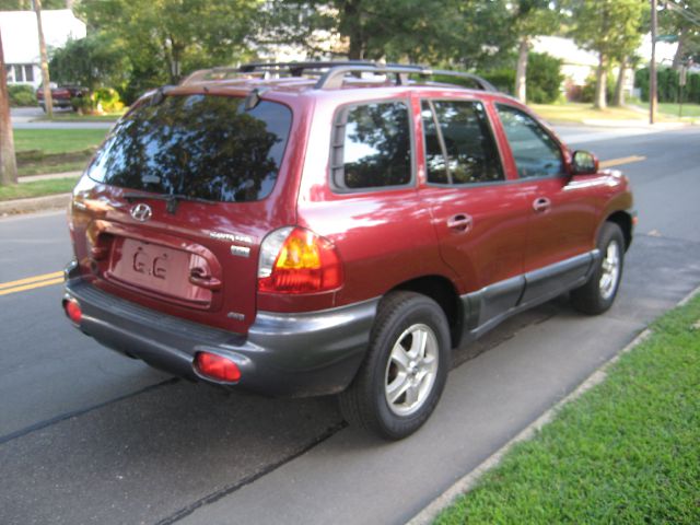 Hyundai Santa Fe 2004 photo 2