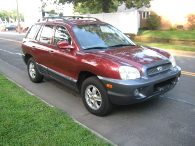 Hyundai Santa Fe 2004 photo 3