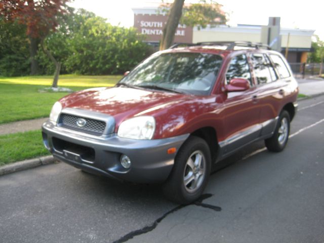 Hyundai Santa Fe 2004 photo 4