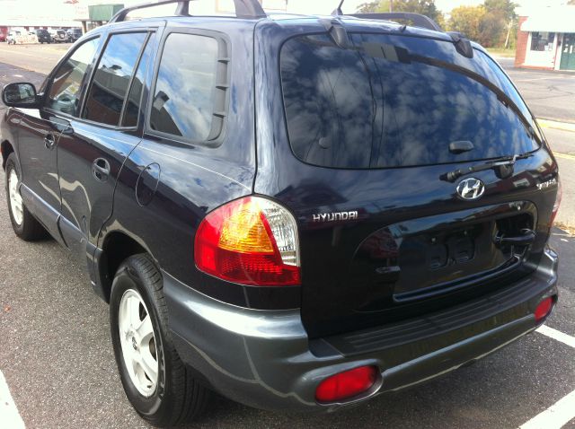 Hyundai Santa Fe 2004 photo 1