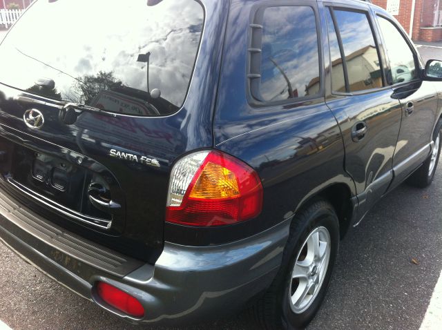 Hyundai Santa Fe 2004 photo 2