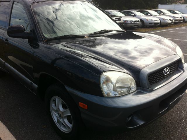 Hyundai Santa Fe 2004 photo 3