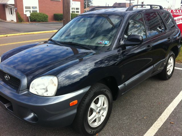 Hyundai Santa Fe 2004 photo 4