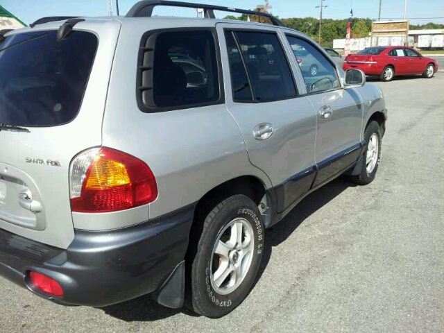 Hyundai Santa Fe 2004 photo 1