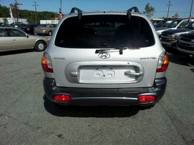 Hyundai Santa Fe 2004 photo 3