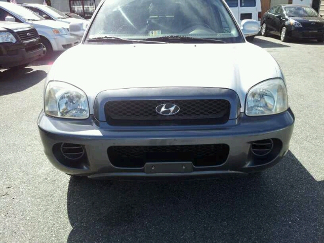 Hyundai Santa Fe 2004 photo 4