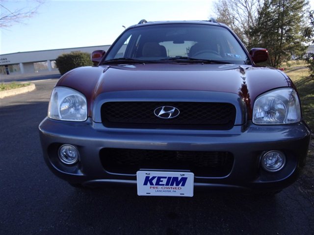 Hyundai Santa Fe 2004 photo 1